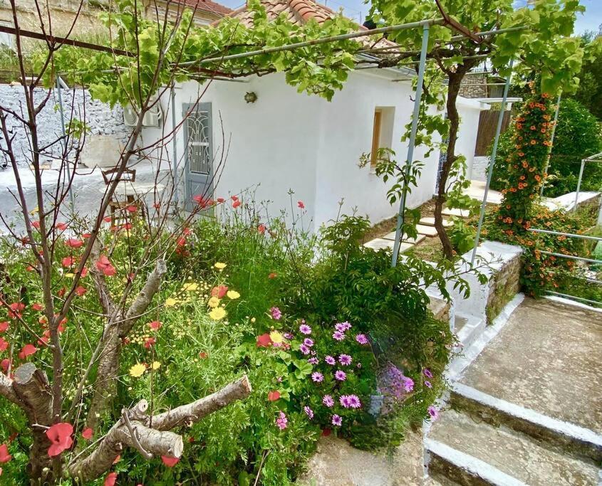 Stylish Vathy Studio With Sea View Vathy (Ithaca) Exterior foto