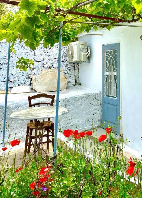Stylish Vathy Studio With Sea View Vathy (Ithaca) Exterior foto