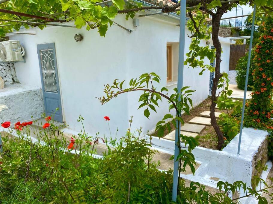 Stylish Vathy Studio With Sea View Vathy (Ithaca) Exterior foto