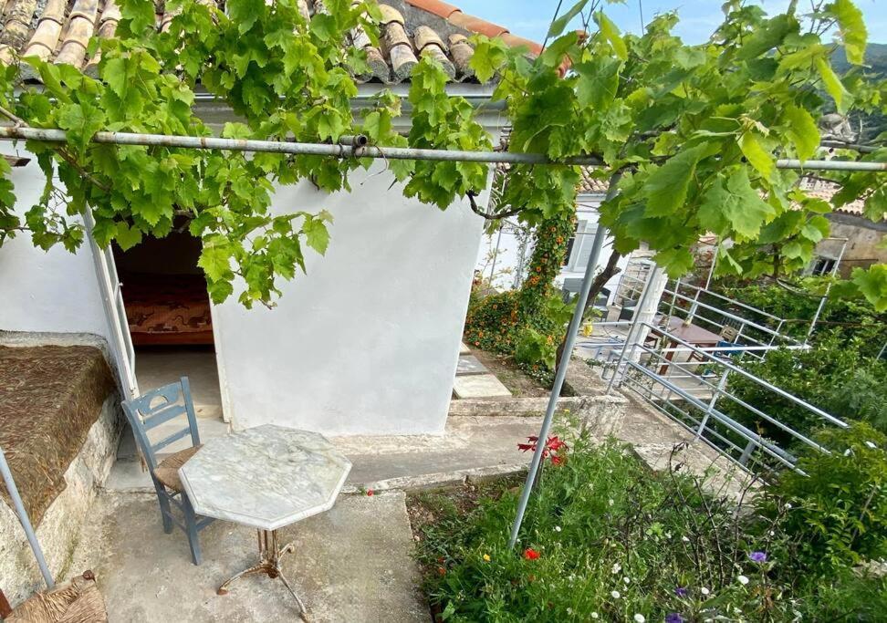 Stylish Vathy Studio With Sea View Vathy (Ithaca) Exterior foto